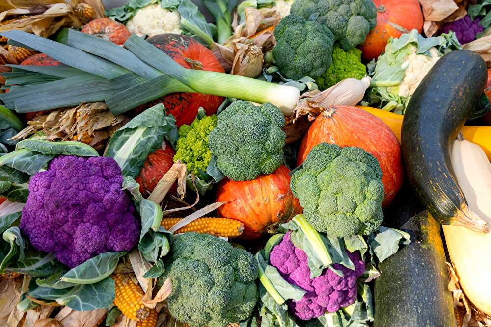 Les légumes de saison à consommer en décembre