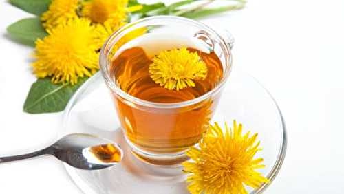 Le thé de pissenlit efficace pour aider à perdre du poids