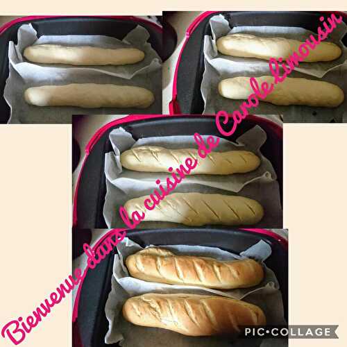 Mini baguettes,petits pains individuelle en pain de mie fait au companion et cuits au cake factory