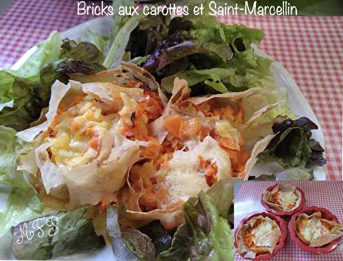 Bricks aux carottes et Saint-Marcellin