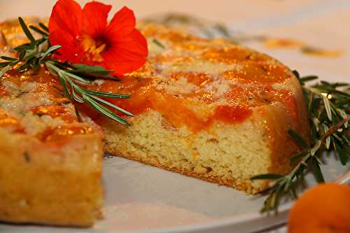 Gâteau aux abricots et romarin, huile d'olive et miel