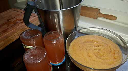 COMPOTE ET GELEE DE POMME (Thermomix)