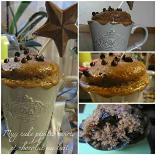 Mug cake pépites noires et chocolat au lait