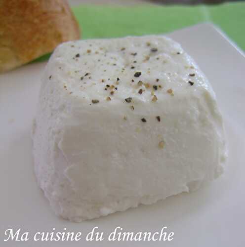 Petits fromages de chèvre frais (faits avec la yaourtière Seb Multi-délices)