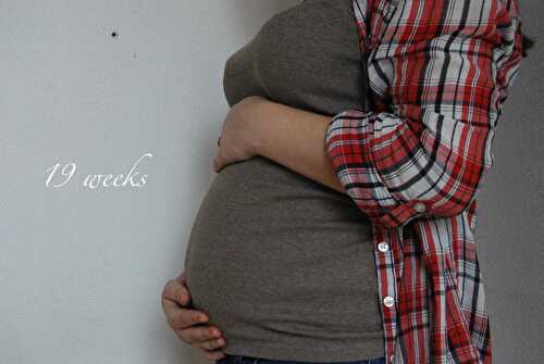 Baby update : 19 semaines