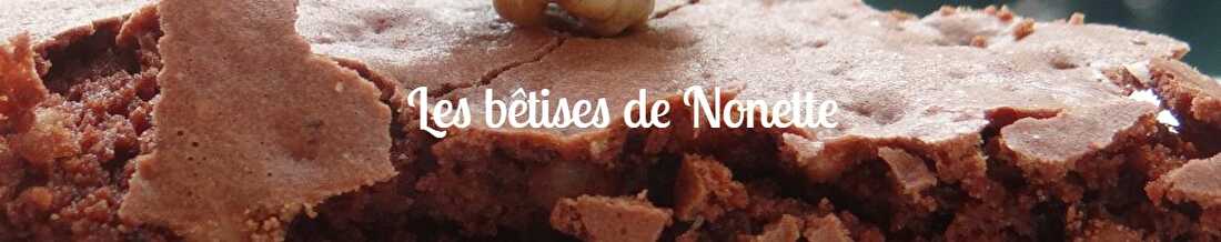 Les bêtises de Nonette