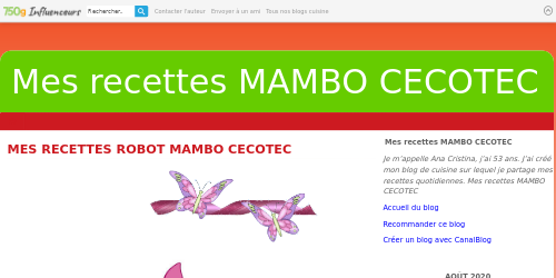 Mes recettes MAMBO CECOTEC