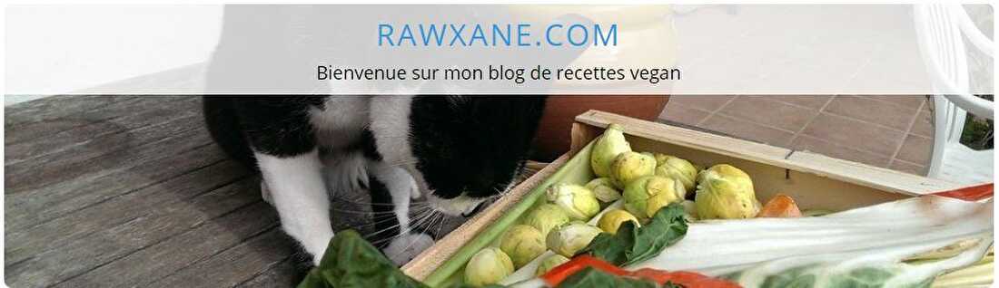 rawxane.com