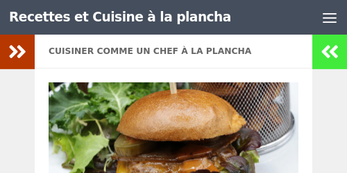 Recettes et Cuisine à la plancha - By Chefounet