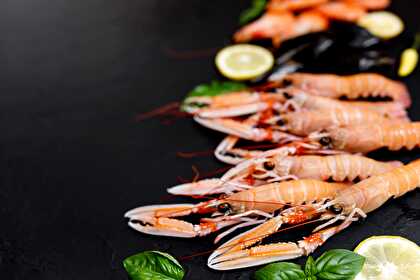 Langoustine