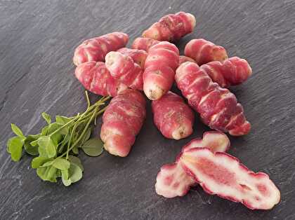 Oca du Pérou