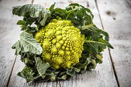 Chou romanesco