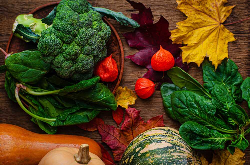 Les légumes de saison à consommer en novembre