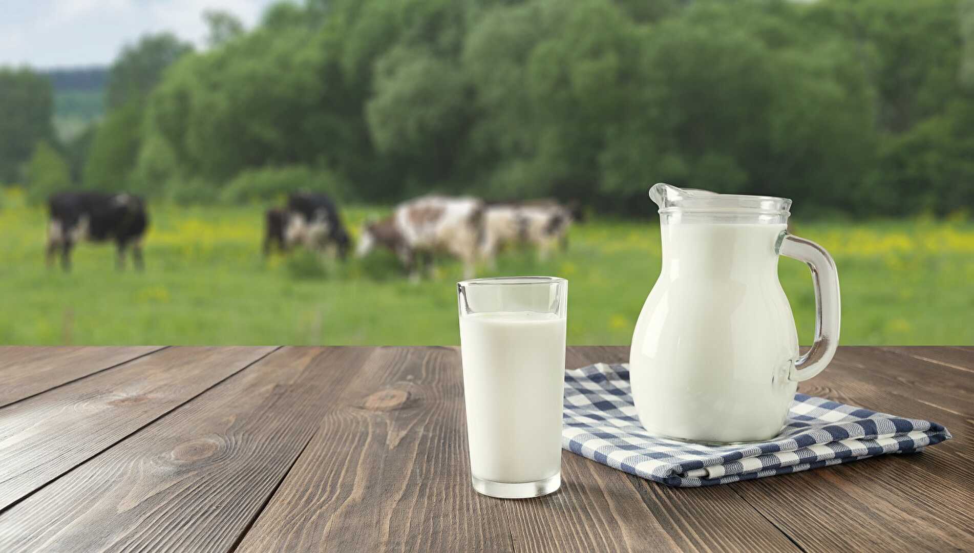 Le lait est-il encore bon pour la santé ?