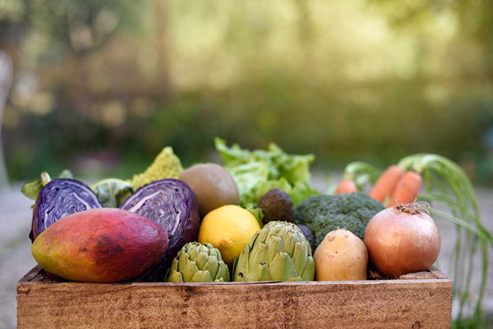 Les légumes de saison à consommer en janvier