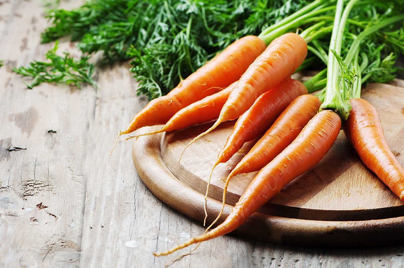 La carotte : un légume polyvalent aux multiples facettes