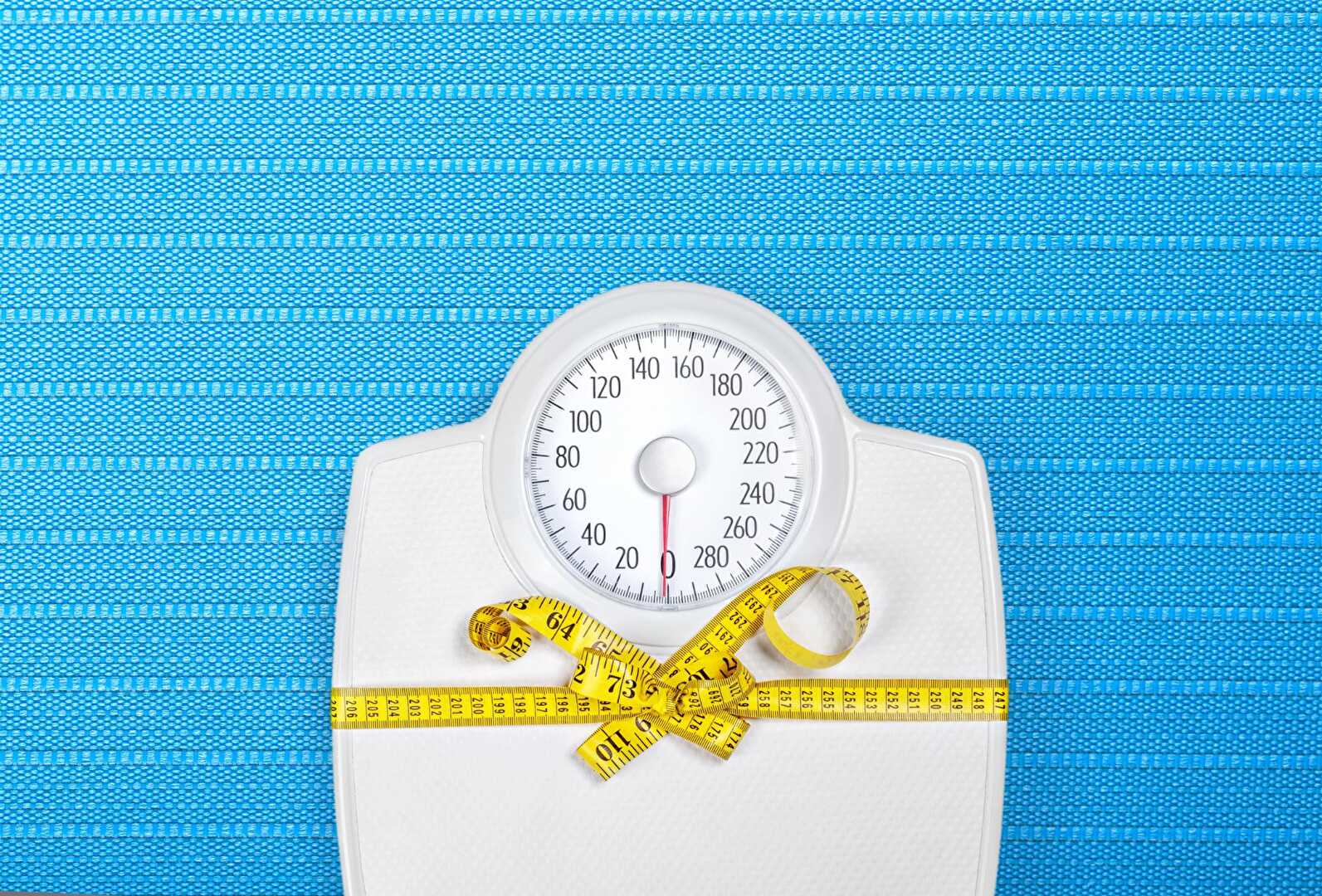 Faites connaissance avec le régime WeightWatchers pour 10 € par mois sur 12 mois !