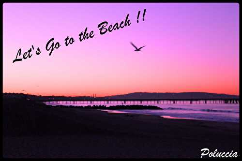 Let's go to the beach ! Venice, Malibu, Santa Monica - A Cantina di Poluccia | Cuisine, Voyages, Photographies