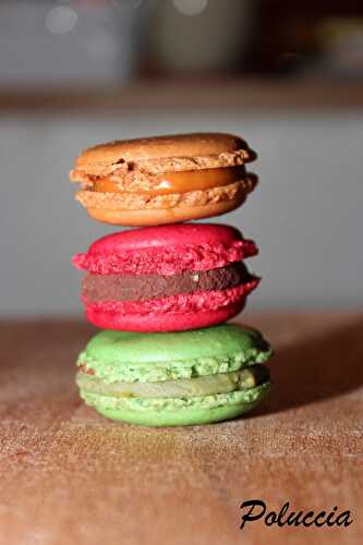 Passion Macarons