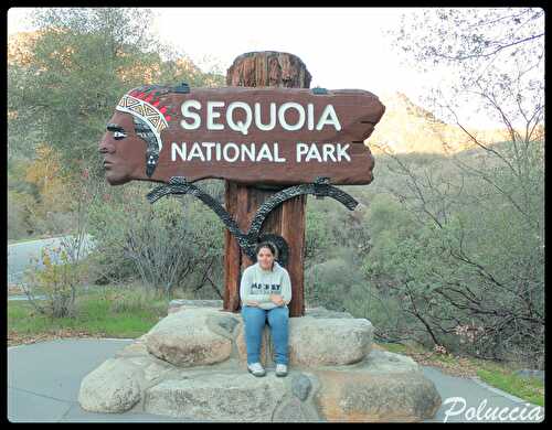 Sequoia National Park