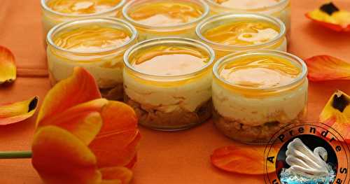 Cheesecakes express mangue fruits de la passion