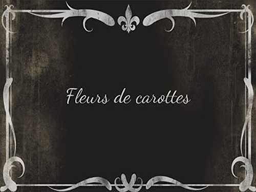 Fleurs de carottes