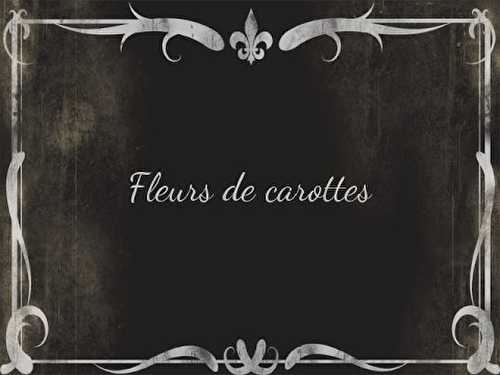 Fleurs de carottes