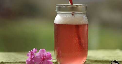 Kombucha framboises pommes cassis