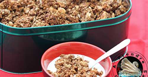 Muesli au chocolat et cacahuètes