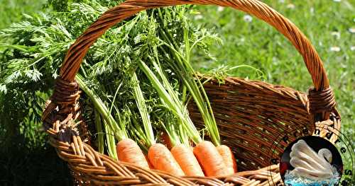 Tout savoir sur les carottes (pas à pas en photos)