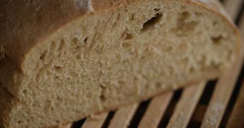 Batard au levain