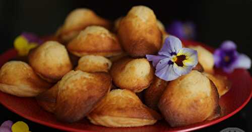 Madeleines à la vanille en vidéo