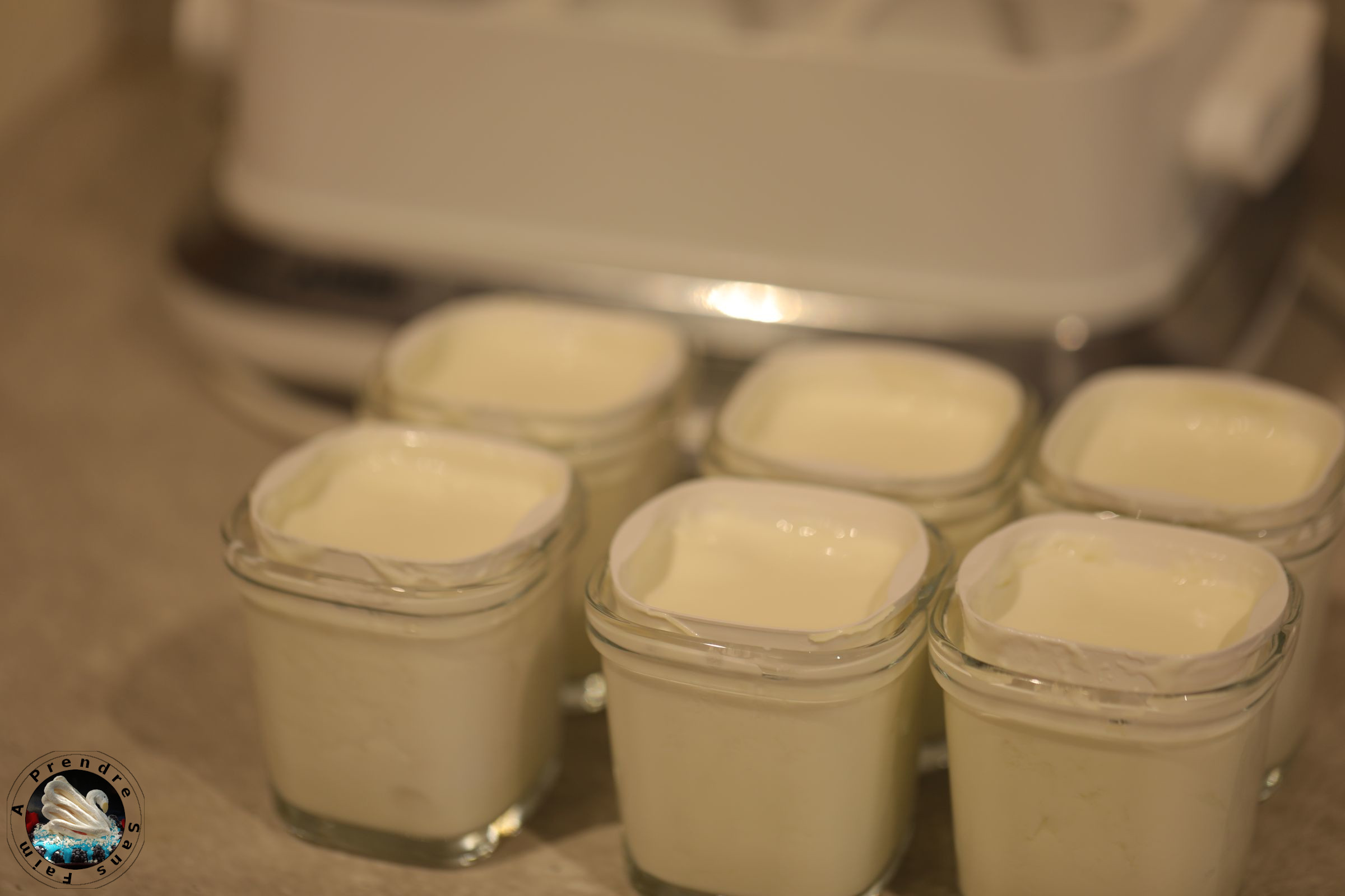 Skyr fait maison 