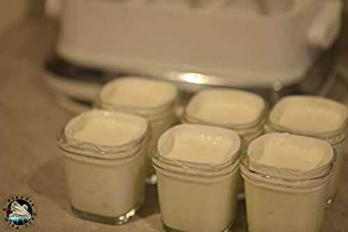 Skyr fait maison 