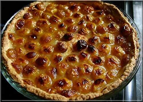 Tarte aux Mirabelles