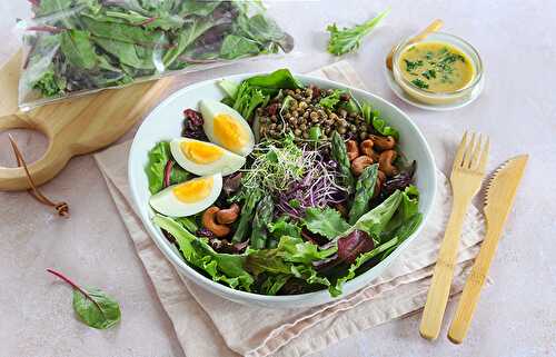 Salade composée aux jeunes pousses, lentilles vertes, asperges et œufs durs