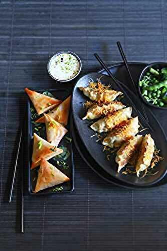 Gyozas au poulet et mimolette – Samoussas au fromage frais et légumes