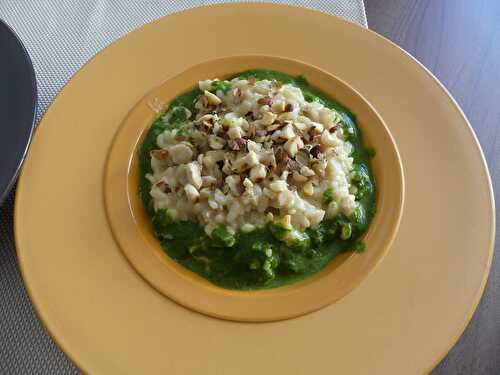 Risotto aux blettes et son coulis vert