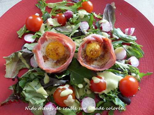Nids d'œufs de caille sur salade colorée