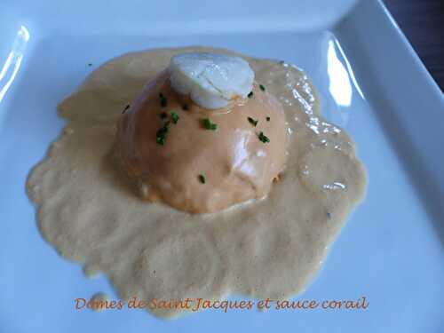 Dômes de Saint Jacques et sauce corail