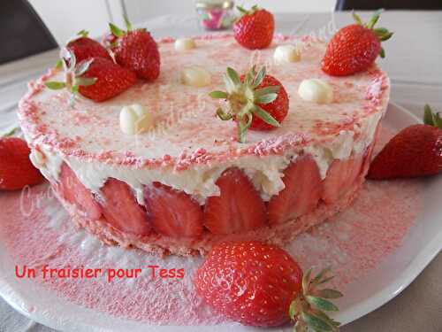 Fraisier Tess