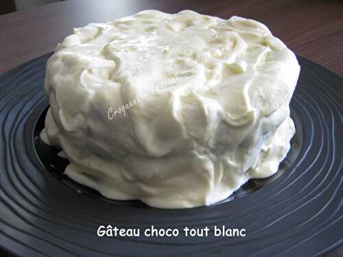 Gâteau choco en blanc.