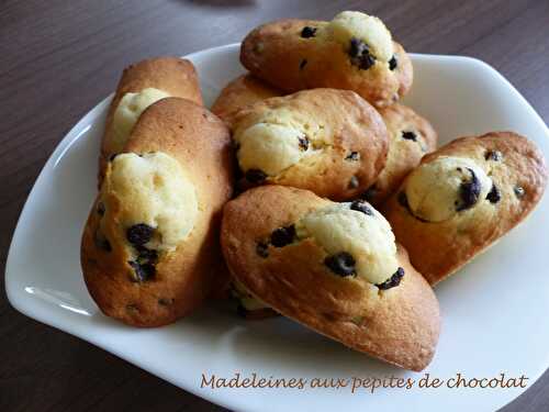 Madeleines aux pépites de chocolat