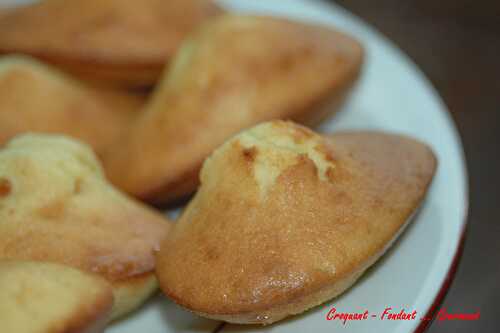 Madeleines citron-chocolat.