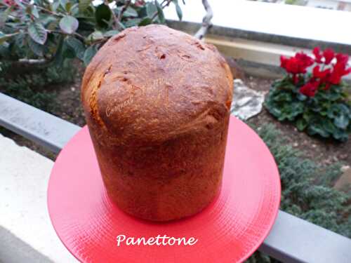 Panettone