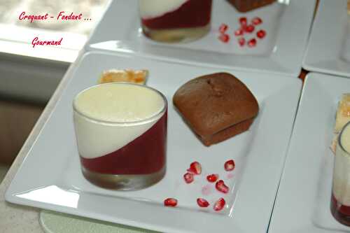 Panna cotta bicolore