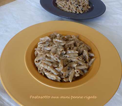 Pastasotto aux mini penne rigate