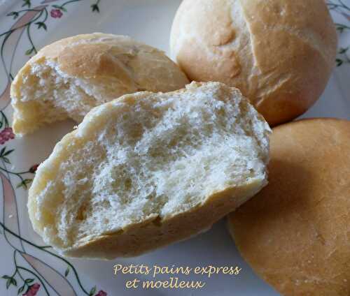 Petits pains express et moelleux