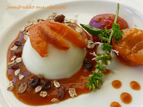 Semifreddo aux abricots - Croquant Fondant Gourmand