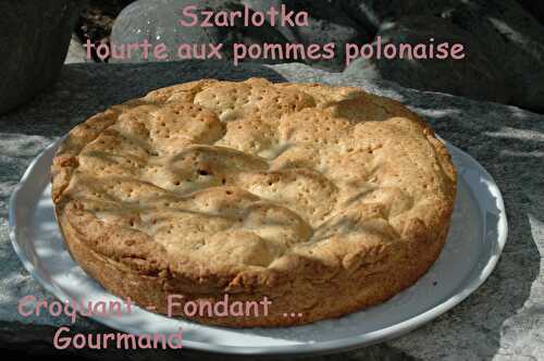 Szarlotka la tourte aux pommes polonaise